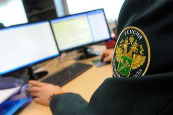 ФТС подготовила технологию подачи экспортной ДТ через 
