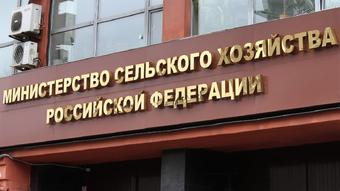 Минсельхоз апробирует механизм расчета плавающей пошлины на экспорт зерновых