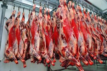 Россия предлагает ввести импортную таможенную пошлину в отношении мяса крупного рогатого скота
