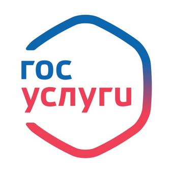 Предварительное классрешение можно получить через портал Госуслуг