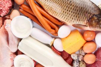 Евросоюз ужесточает требования к ввозу на территорию ЕС продукции животноводства