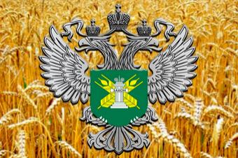 Россельхознадзора одобрил использование риск-ориентированного контроля при импорте